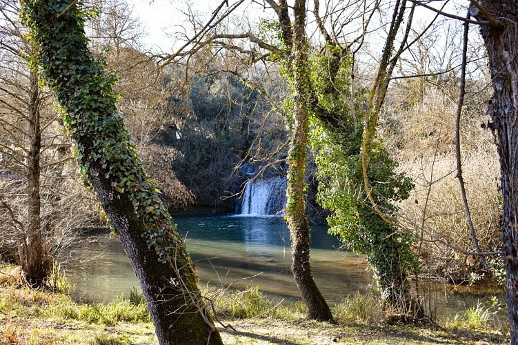 Clairière et cascade du Tombereau
