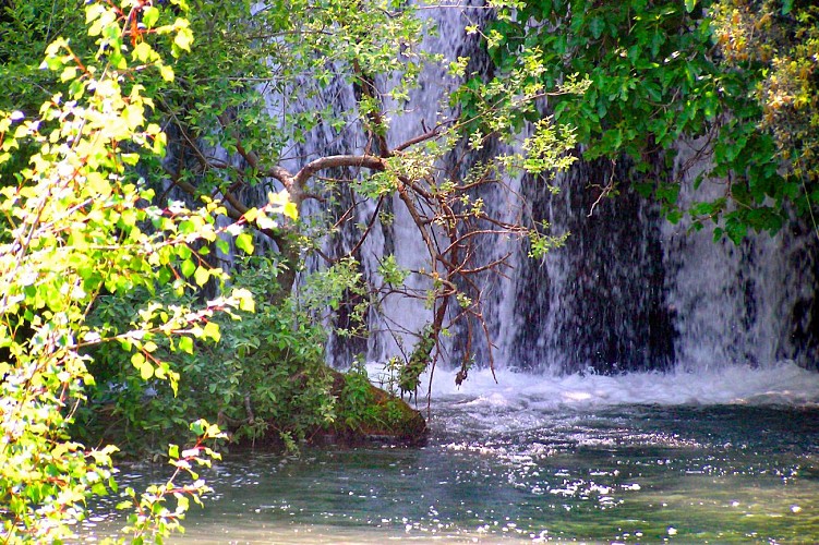 Clairière et cascade du Tombereau