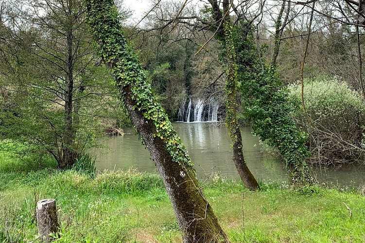 Clairière et cascade du Tombereau