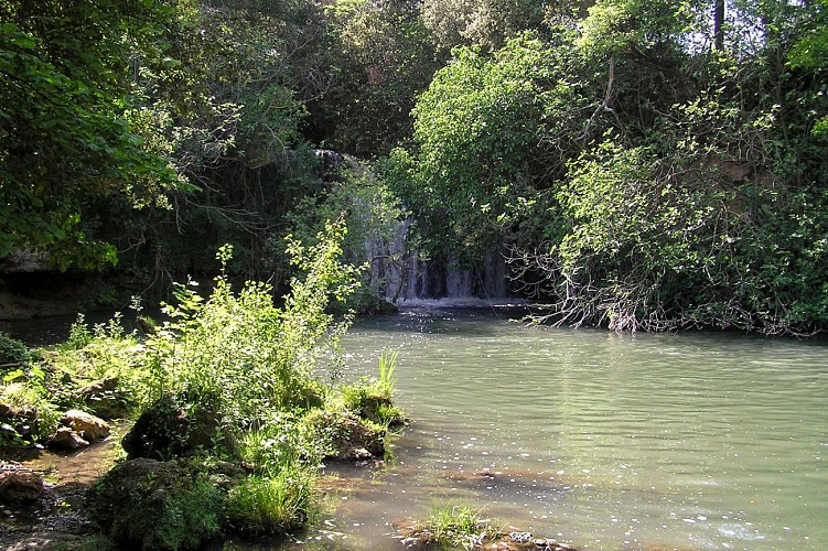Clairière et cascade du Tombereau