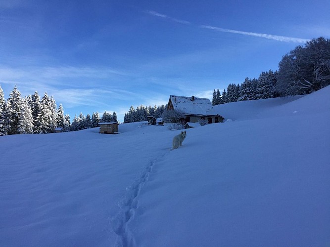 Refuge des Feneys