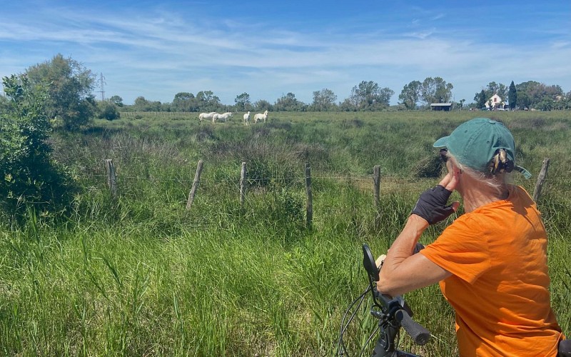La Via Rhona à Vélo : Genève - Lyon