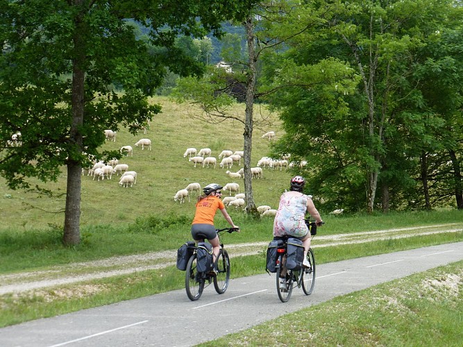 La Via Rhona à Vélo : Genève - Lyon