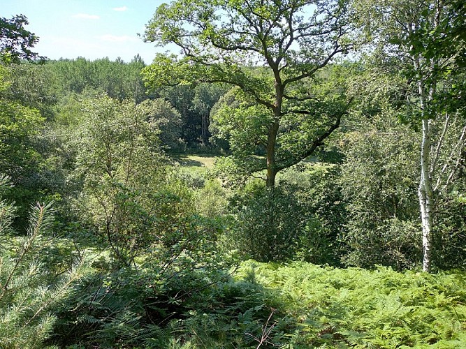 20210722_151456 - Copie