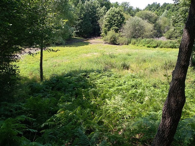 Pré bourbeux - Copie