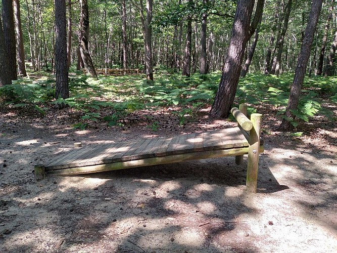 Pré bourbeux de Conches