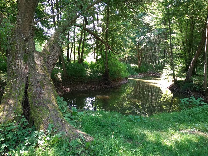 Pré bourbeux de Conches