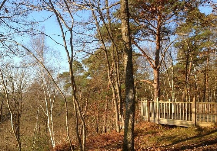 Sentier pédagogique de la forêt du Pré bourbeux © Conches en Ouche