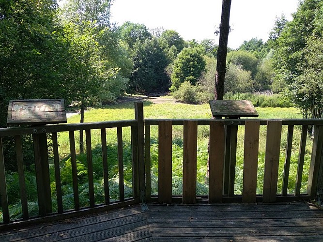 20210722_152226 - Copie