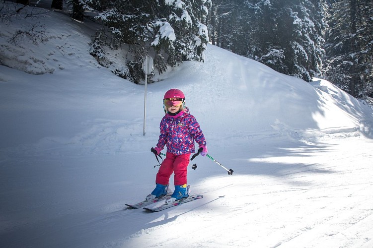 "Les Portes du Mont-Blanc" Ski Area