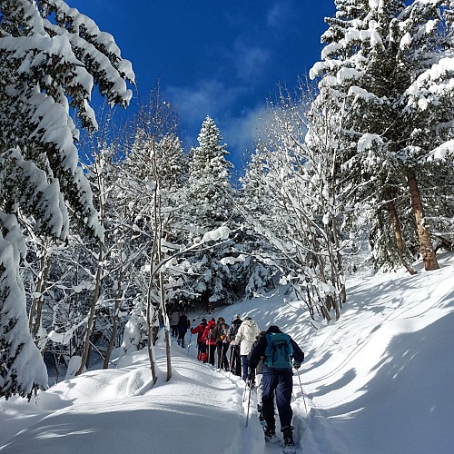 La Grande Léchère lake refuge