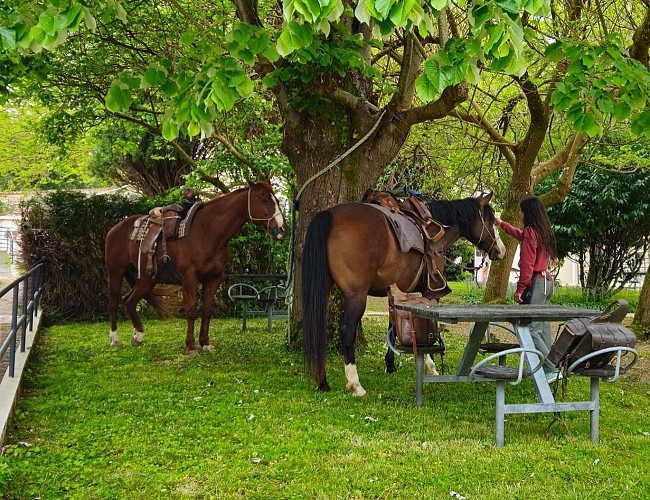 la_terrasse_restaurant_lamothesaintheray