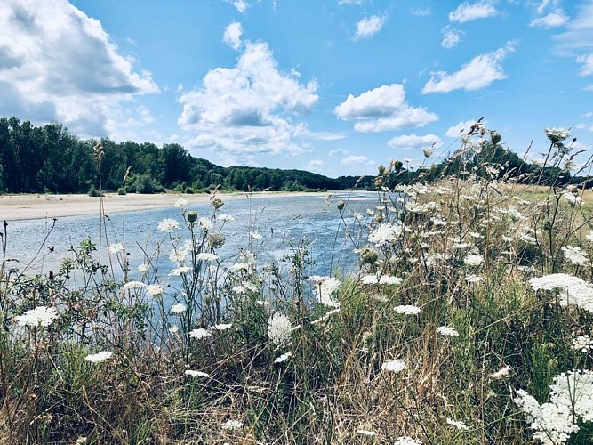 TENTE MENTHE GRENOUILLES_20230724-WA0006