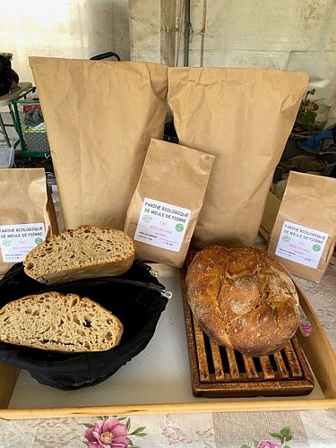 FOURNIL LES LUMIÈRES