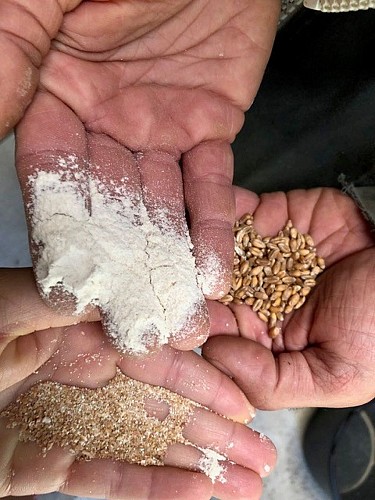 FOURNIL LES LUMIÈRES