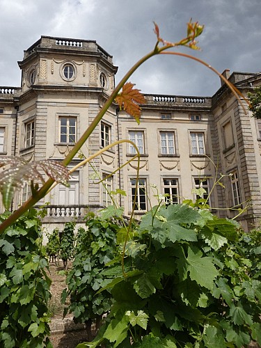 Musée des Vignerons du Forez