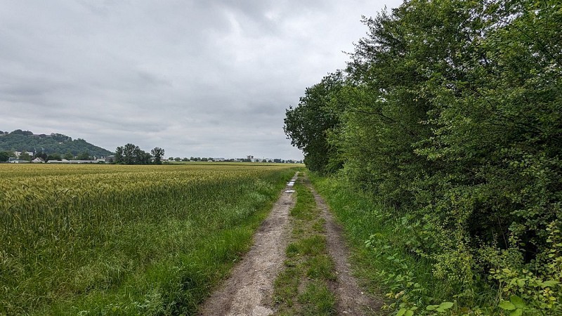 Chemin proche de l'Allée Lucien Bocquet
