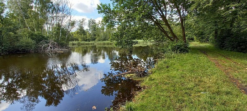 Etang du Domaine de la Solitude II