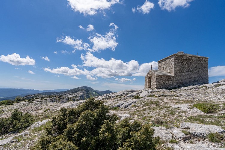 Forêt relique & Montagne de la Sainte-Baume, côté Plan d'Aups