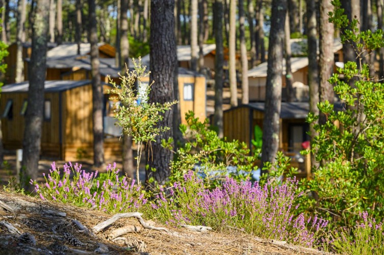 4-WSC-la-dune-bleue-hebergements-exterieur-BASSE-DEF