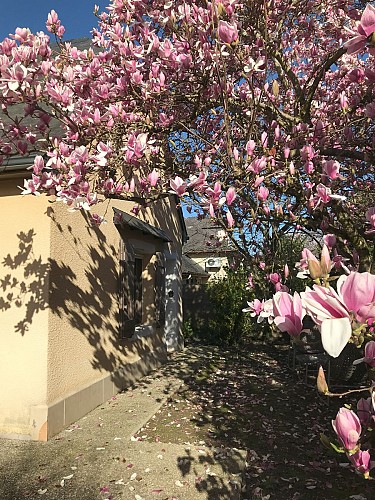 Chambre hotes Sous le Magnolia-jardin