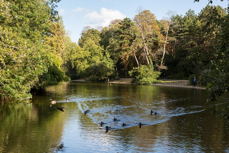Lake of Saint-Mandé