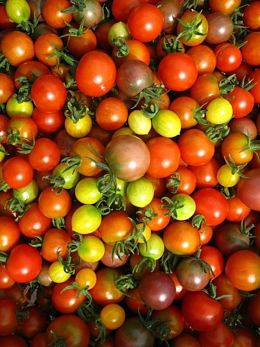 Ferme de la Petite Bouchetière