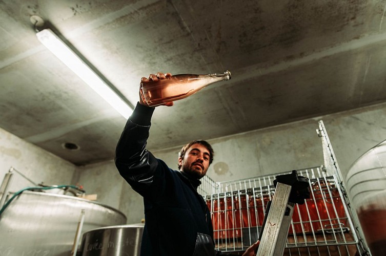 Domaine La Requerre Records