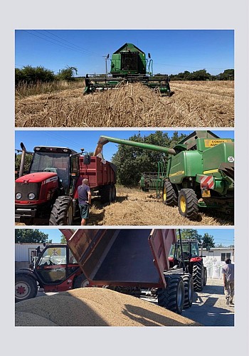 Le Fournil du Brulit