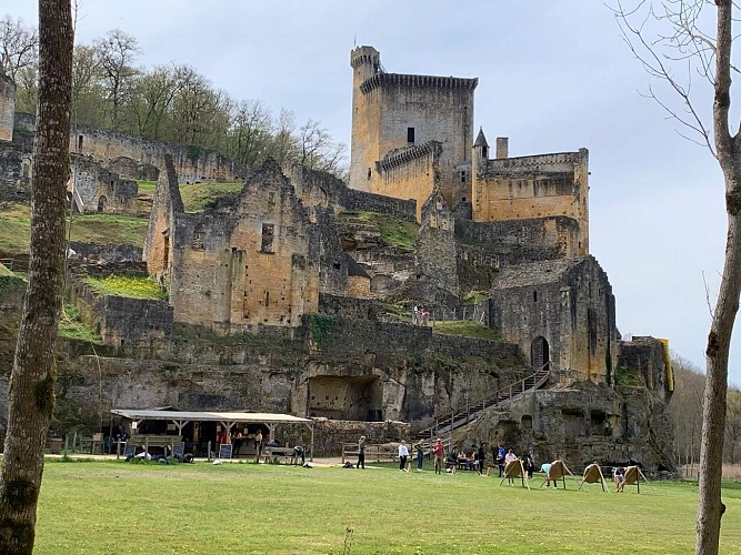 Chateau de Commarque@tour in perigord