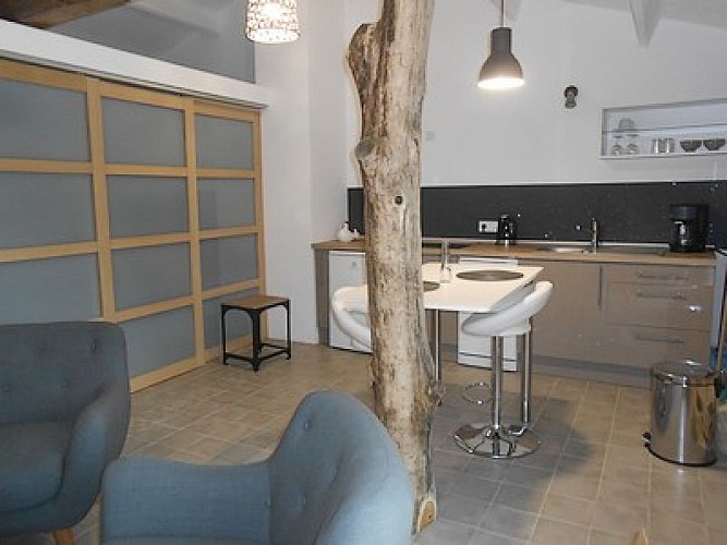 mauleon-gitesdespres2pax-cuisine-sit.jpg_4