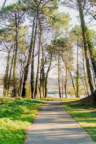 Forêt du Lazaret