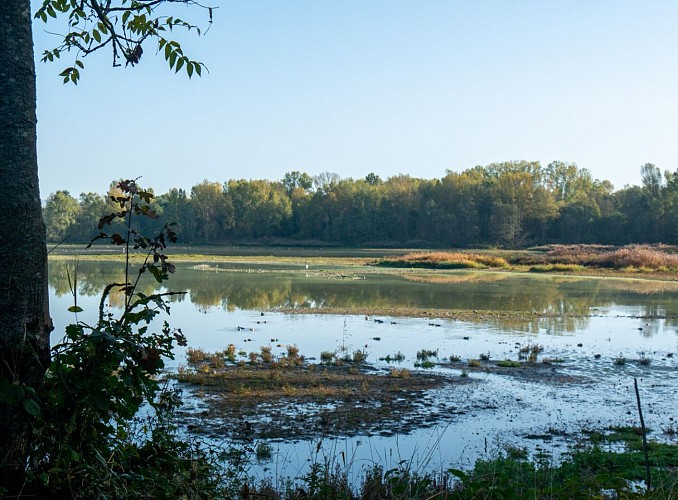 Ecopôle du Forez