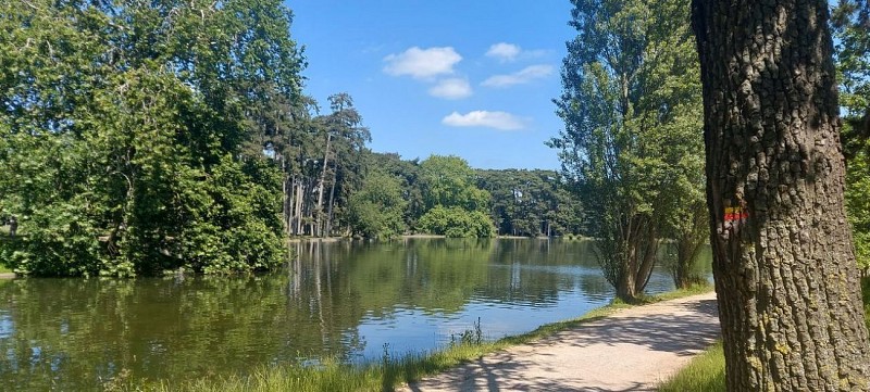 Les barques du Bois-de-Boulogne