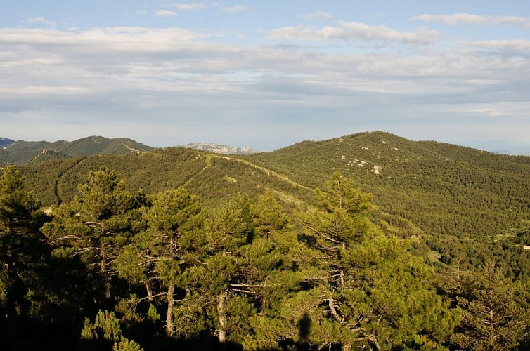 Image du circuit