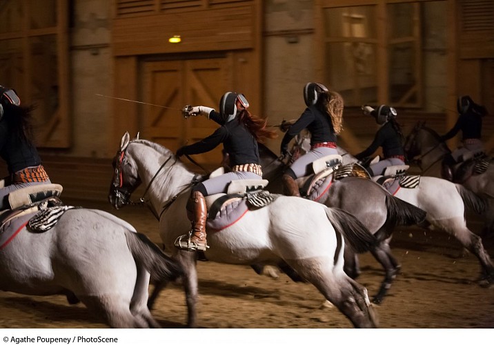 Equestrian Academy of Versailles