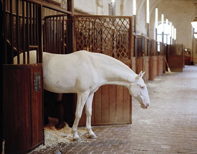 Equestrian Academy of Versailles