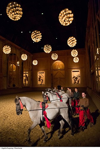 Equestrian Academy of Versailles