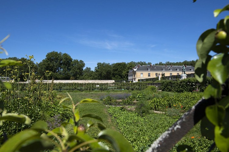 King's Kitchen Garden