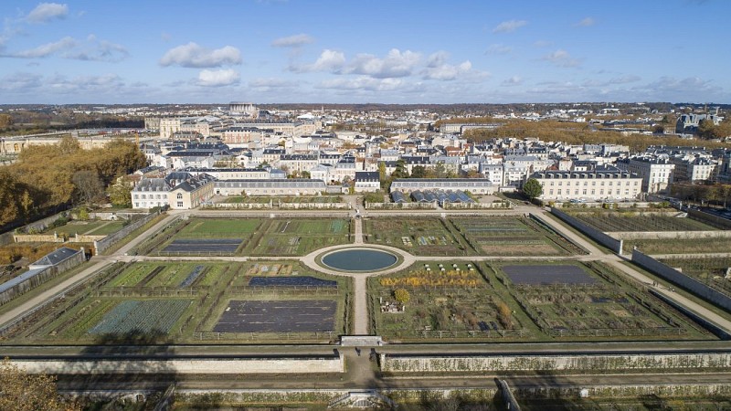 King's Kitchen Garden