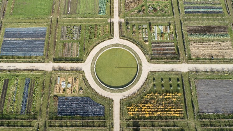 King's Kitchen Garden