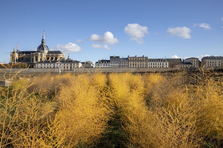 Potager du Roi