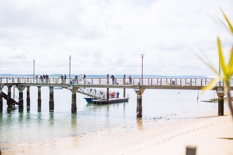 Plage_Bassin_Canon (5)