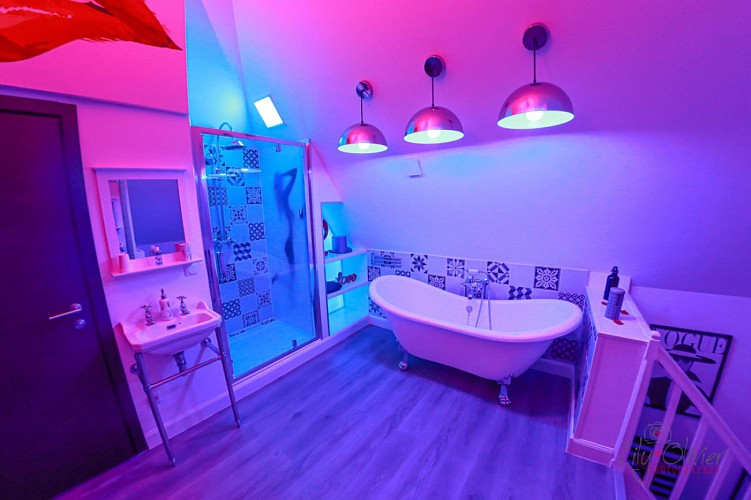 glam-chic-room-rives-en-seine-chambre-d-hotes-love-room-lily-olivier-photographes