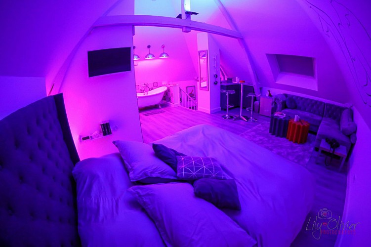 glam-chic-room-rives-en-seine-chambre-d-hotes-love-room-lily-olivier-photographes-3