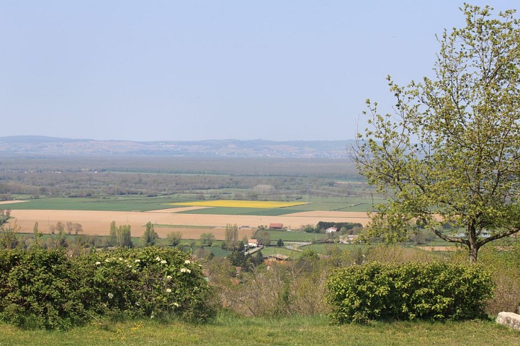 Vue Vallée de la Grosne