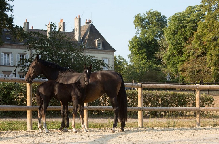 Écuries du Château d'Ygrande