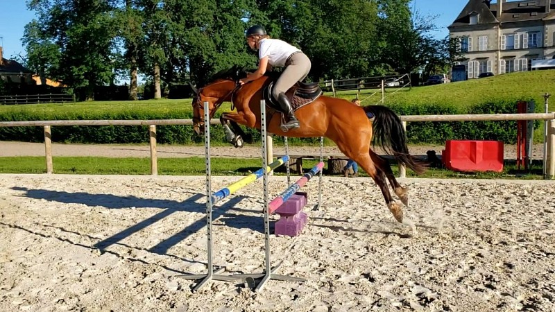 Écuries du Château d'Ygrande