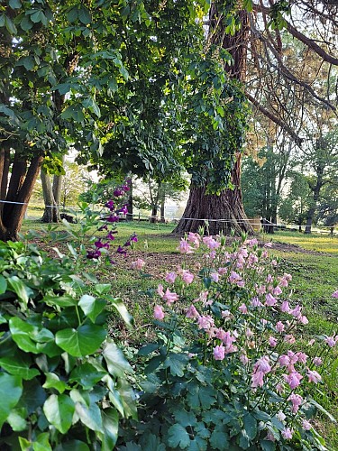Gîte Le Cabanon du Chalet