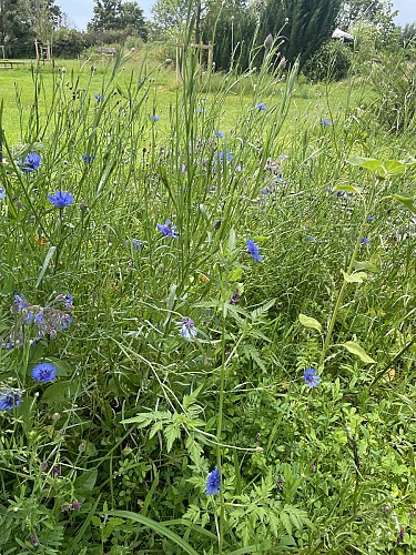 Aire de camping-cars "Le Bon Coeur"